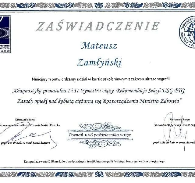 Powiększ obraz: certificate 13