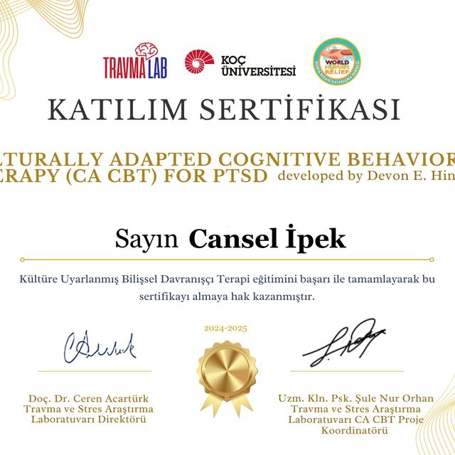 Resmi büyüt: certificate 1