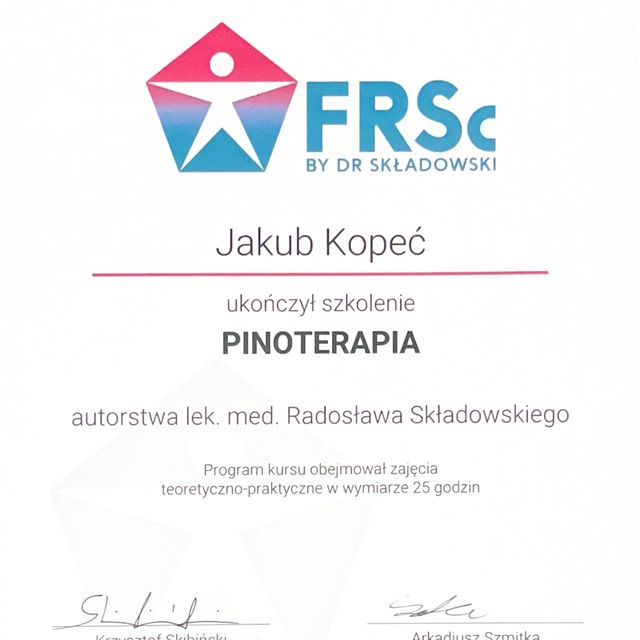 Powiększ obraz: certificate 2