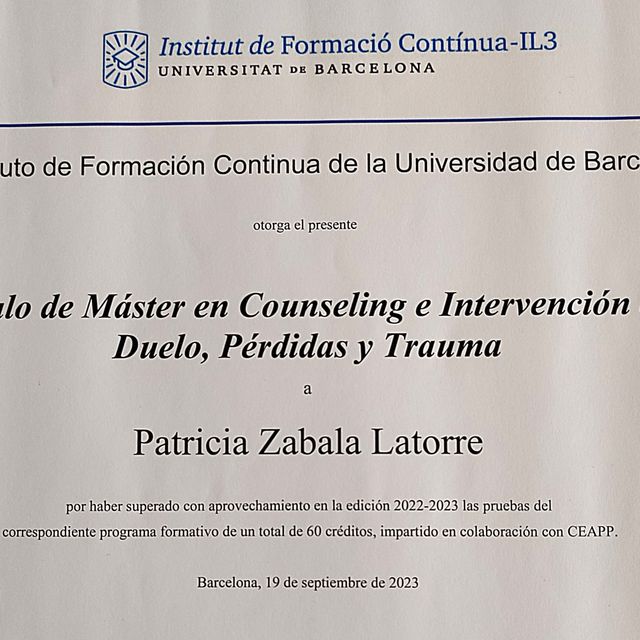 Acercar imagen: certificate 2