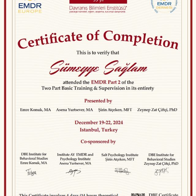 Resmi büyüt: certificate 1
