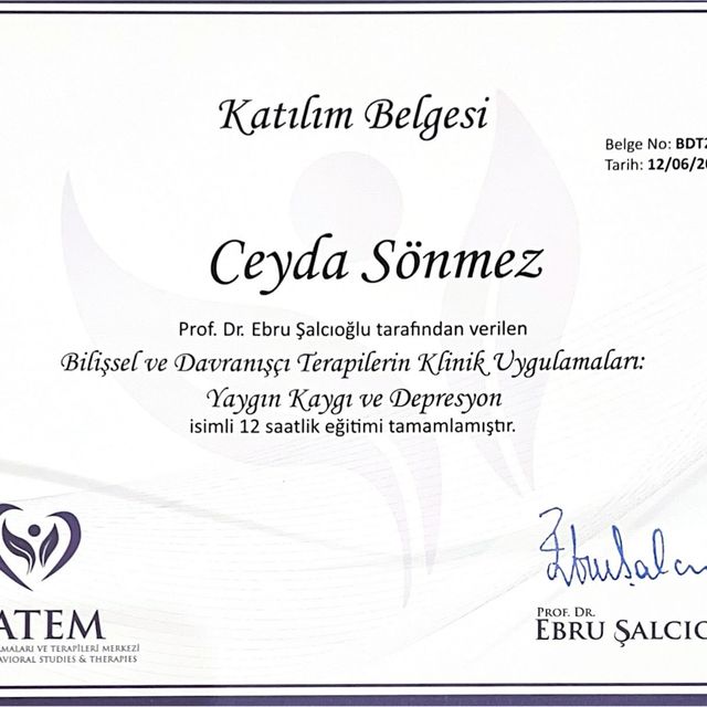 Resmi büyüt: certificate 9