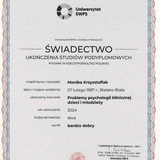 Powiększ obraz: certificate 3