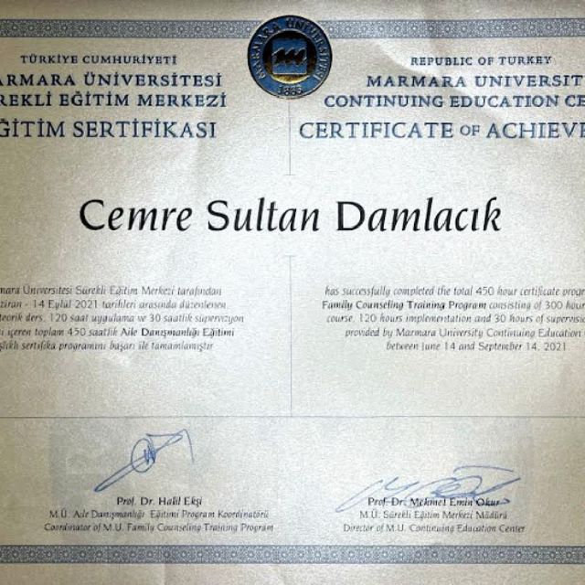 Resmi büyüt: certificate 2