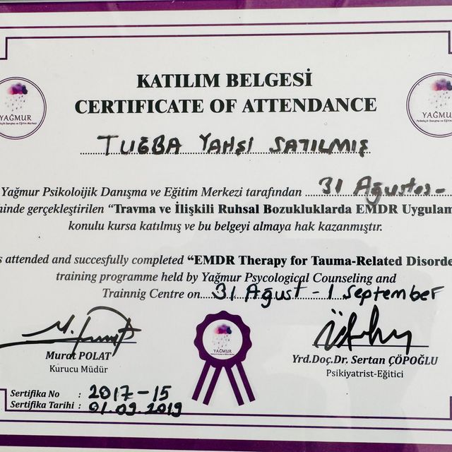 Resmi büyüt: certificate 8