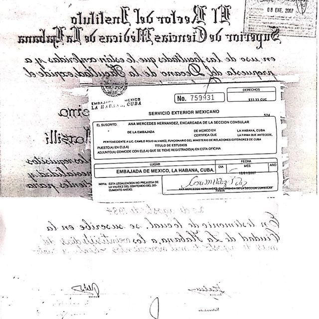 Acercar imagen: certificate 5