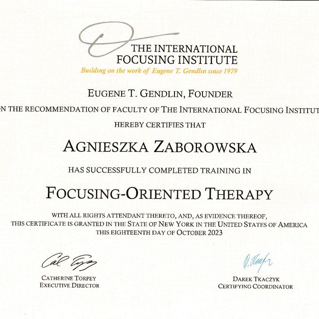 Powiększ obraz: certificate 2