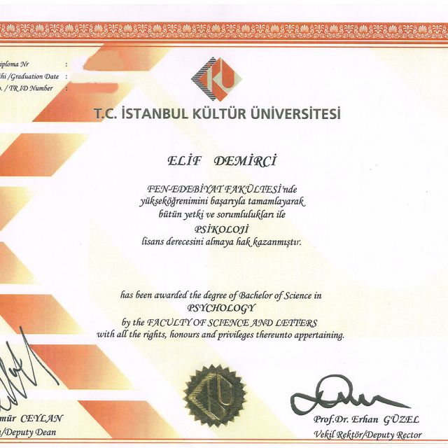 Resmi büyüt: certificate 5