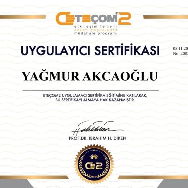 Resmi büyüt: certificate 9