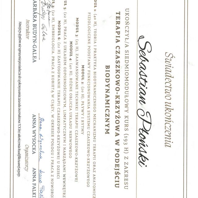 Powiększ obraz: certificate 4