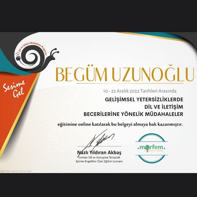 Resmi büyüt: certificate 6