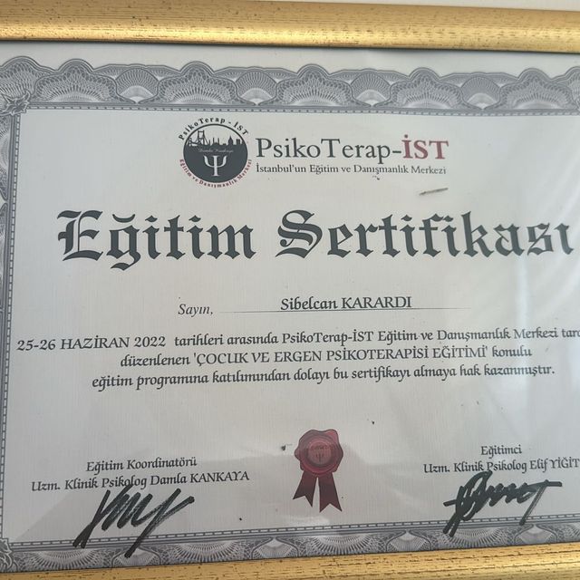 Resmi büyüt: certificate 1