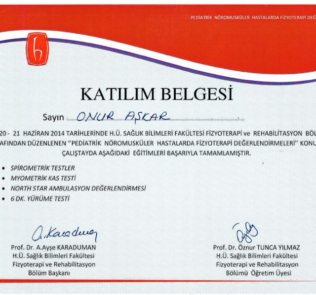 Resmi büyüt: certificate 7