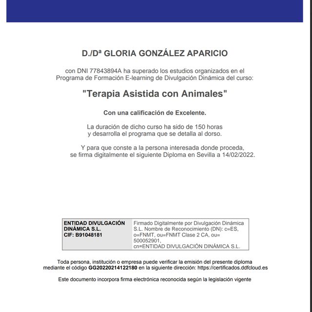 Acercar imagen: certificate 5