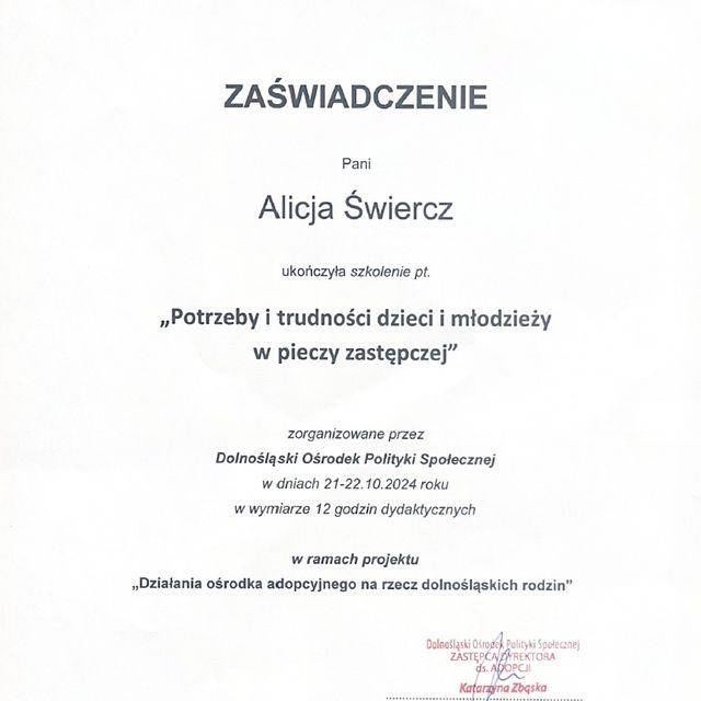 Powiększ obraz: certificate 2