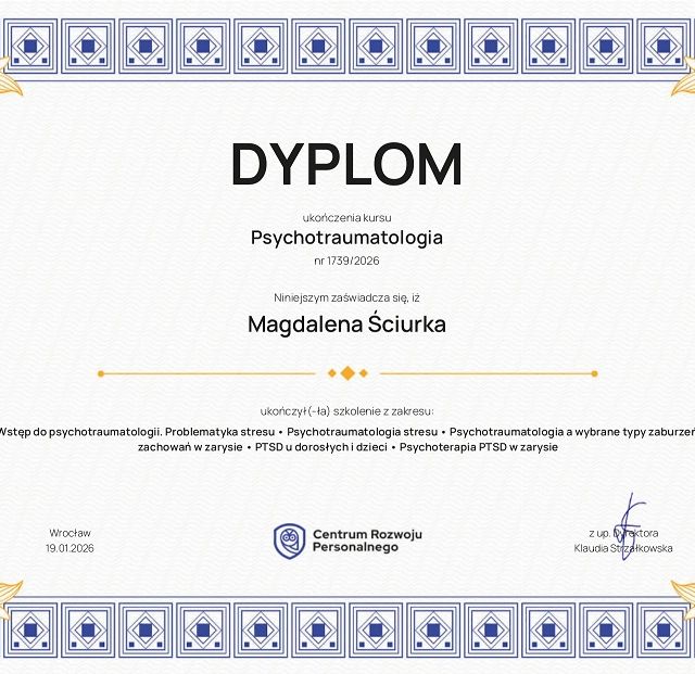 Powiększ obraz: certificate 1