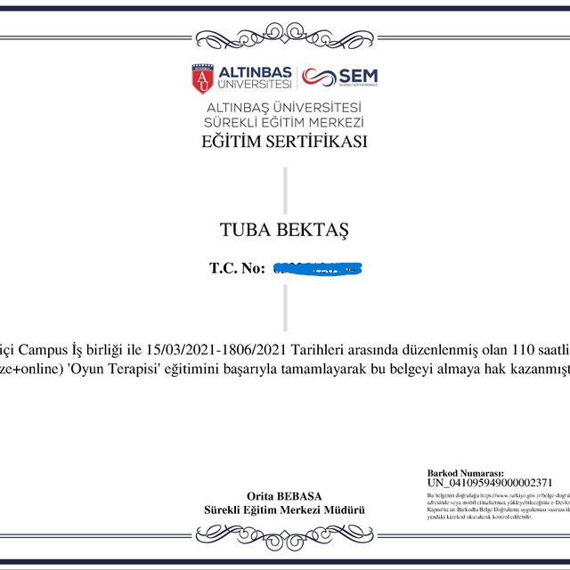 Resmi büyüt: certificate 12
