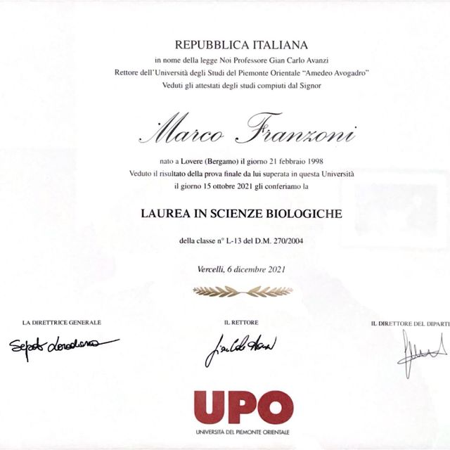 Ingrandire l'immagine: certificate 2