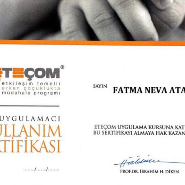 Resmi büyüt: certificate 15