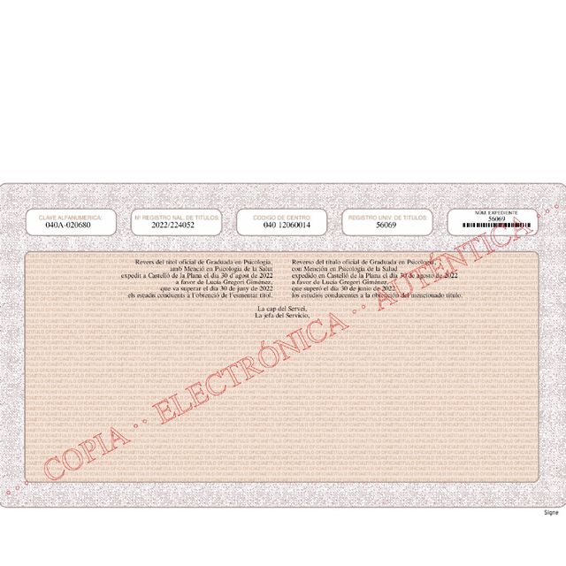 Acercar imagen: certificate 2