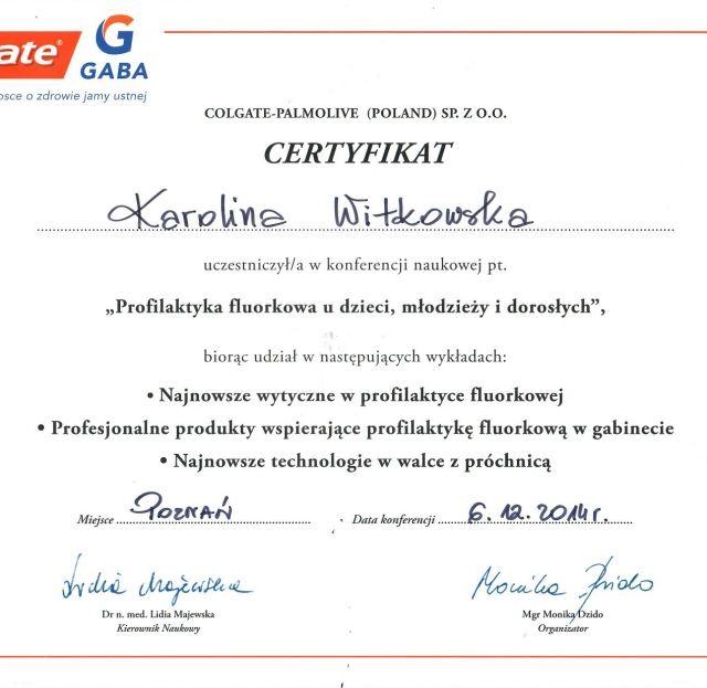 Powiększ obraz: certificate 2