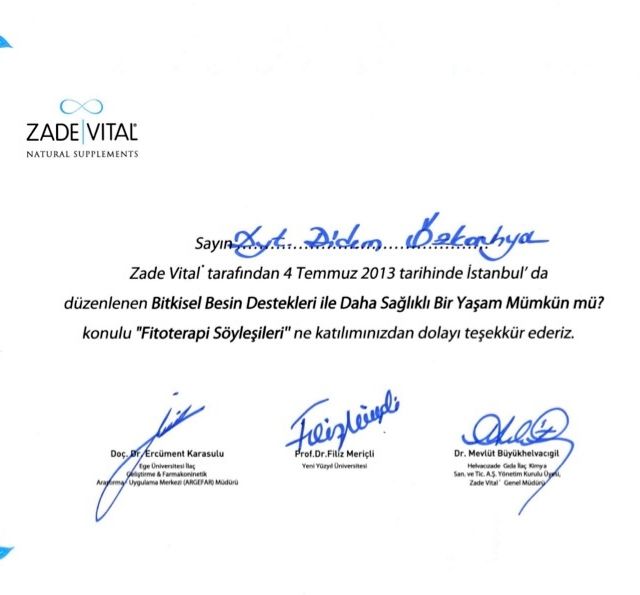 Resmi büyüt: certificate 9