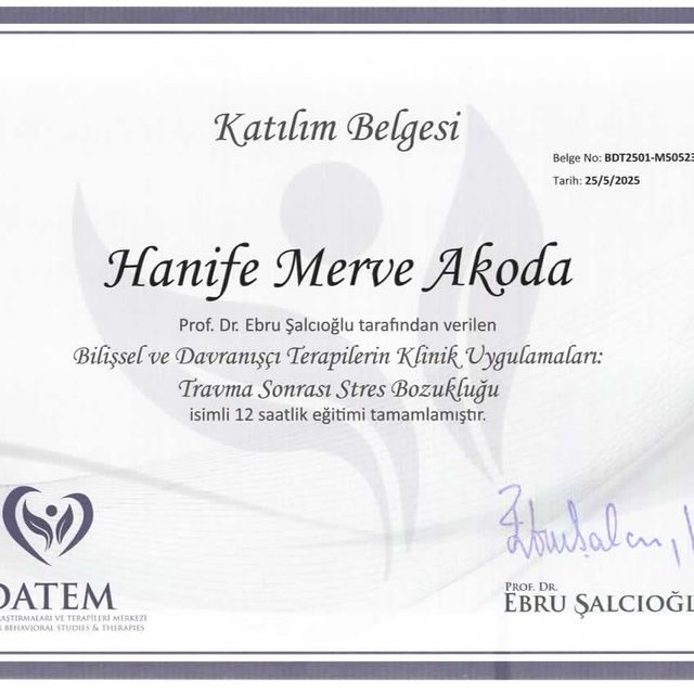 Resmi büyüt: certificate 13