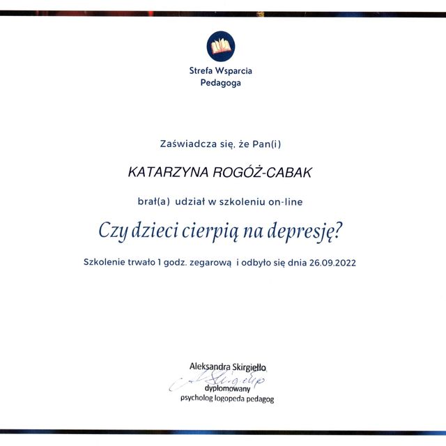 Powiększ obraz: certificate 3