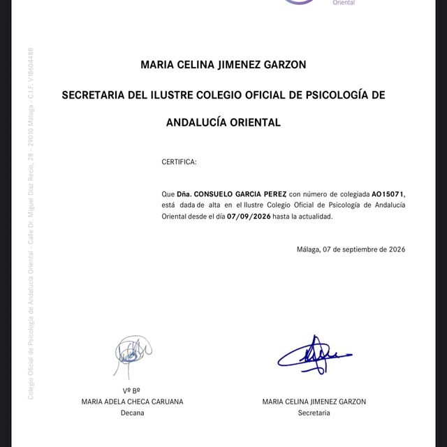 Acercar imagen: certificate 7