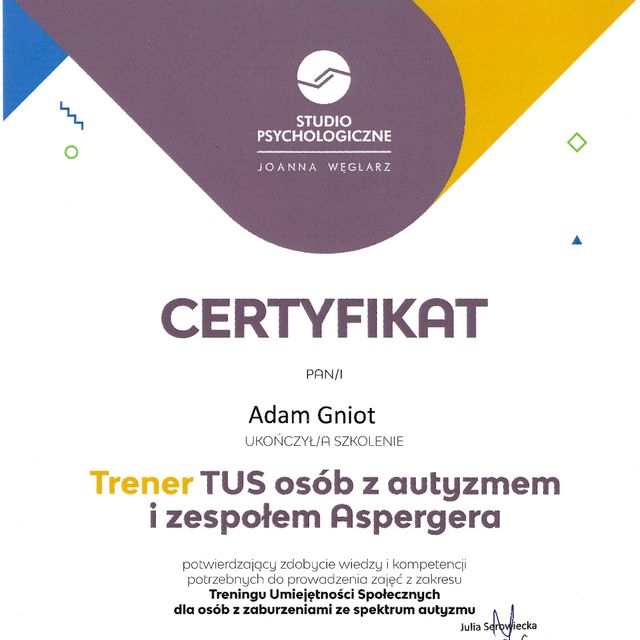 Powiększ obraz: certificate 4