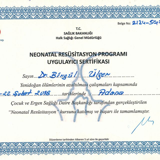 Resmi büyüt: certificate 4