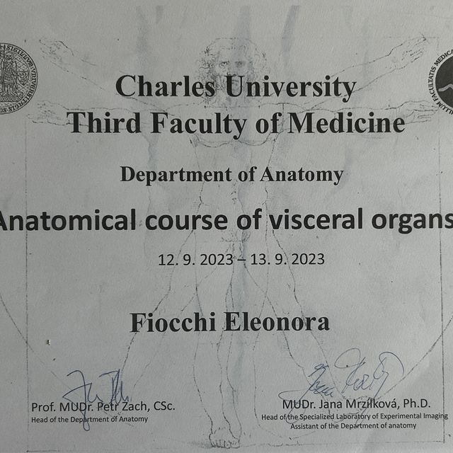 Ingrandire l'immagine: certificate 3