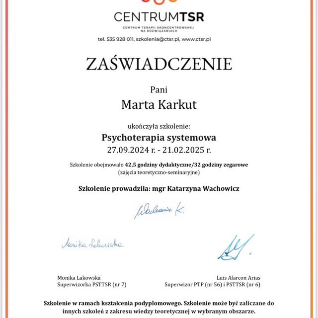 Powiększ obraz: certificate 7