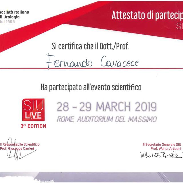 Ingrandire l'immagine: certificate 60