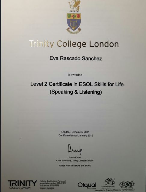 Acercar imagen: certificate 5