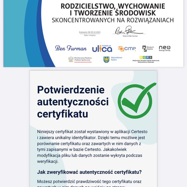 Powiększ obraz: certificate 7