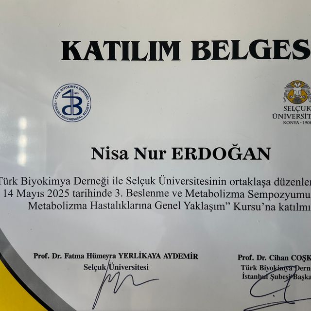 Resmi büyüt: certificate 7
