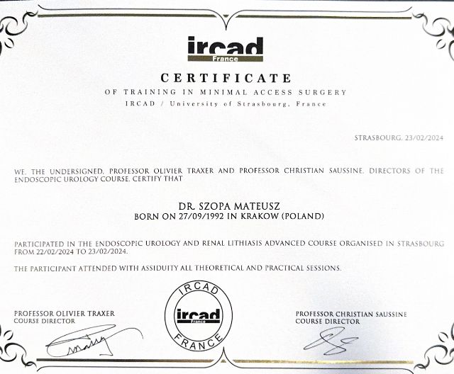 Powiększ obraz: certificate 5