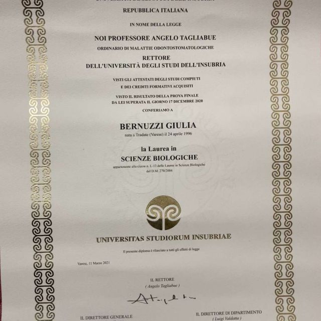 Ingrandire l'immagine: certificate 1