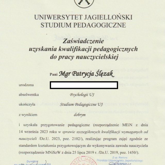 Powiększ obraz: certificate 2