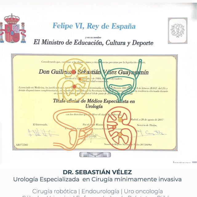 Acercar imagen: certificate 2