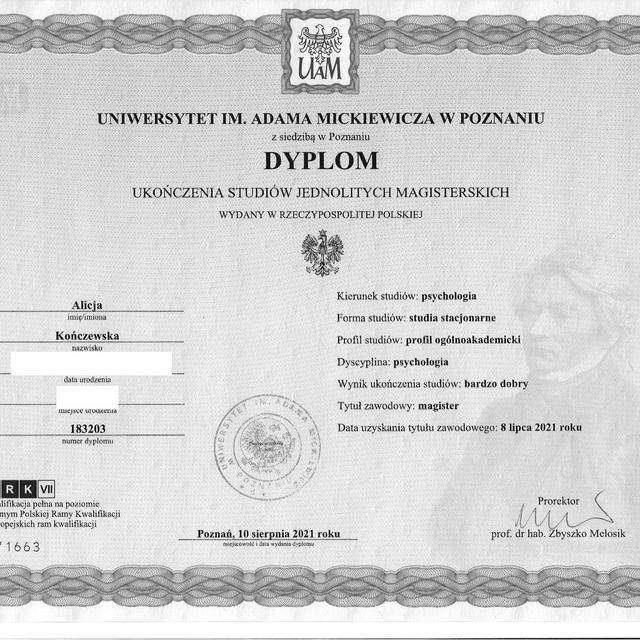 Powiększ obraz: certificate 1