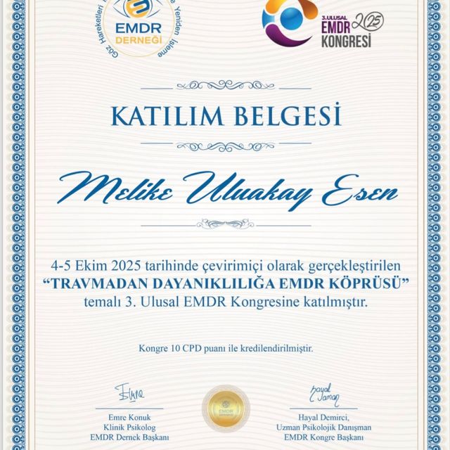Resmi büyüt: certificate 35