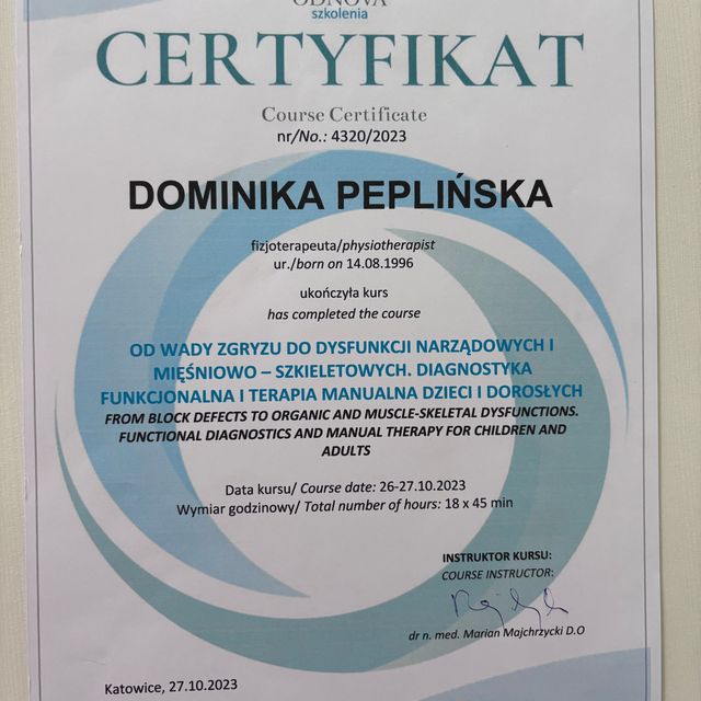 Powiększ obraz: certificate 7