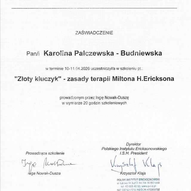 Powiększ obraz: certificate 8