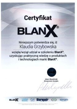 Powiększ obraz: certificate 11