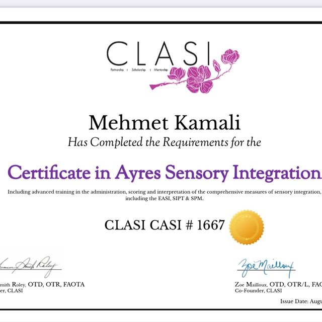 Resmi büyüt: certificate 1