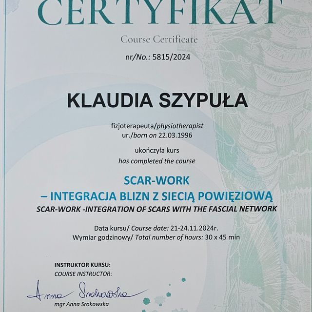 Powiększ obraz: certificate 11
