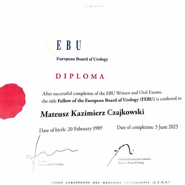 Powiększ obraz: certificate 1