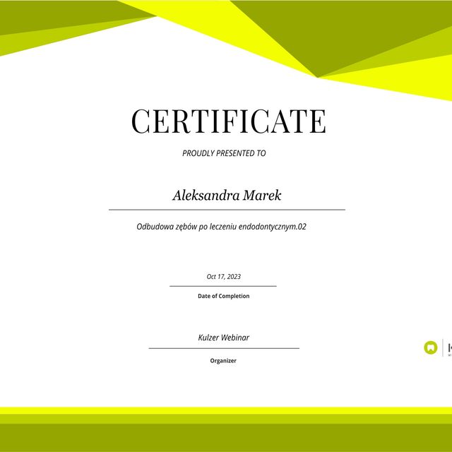 Powiększ obraz: certificate 13